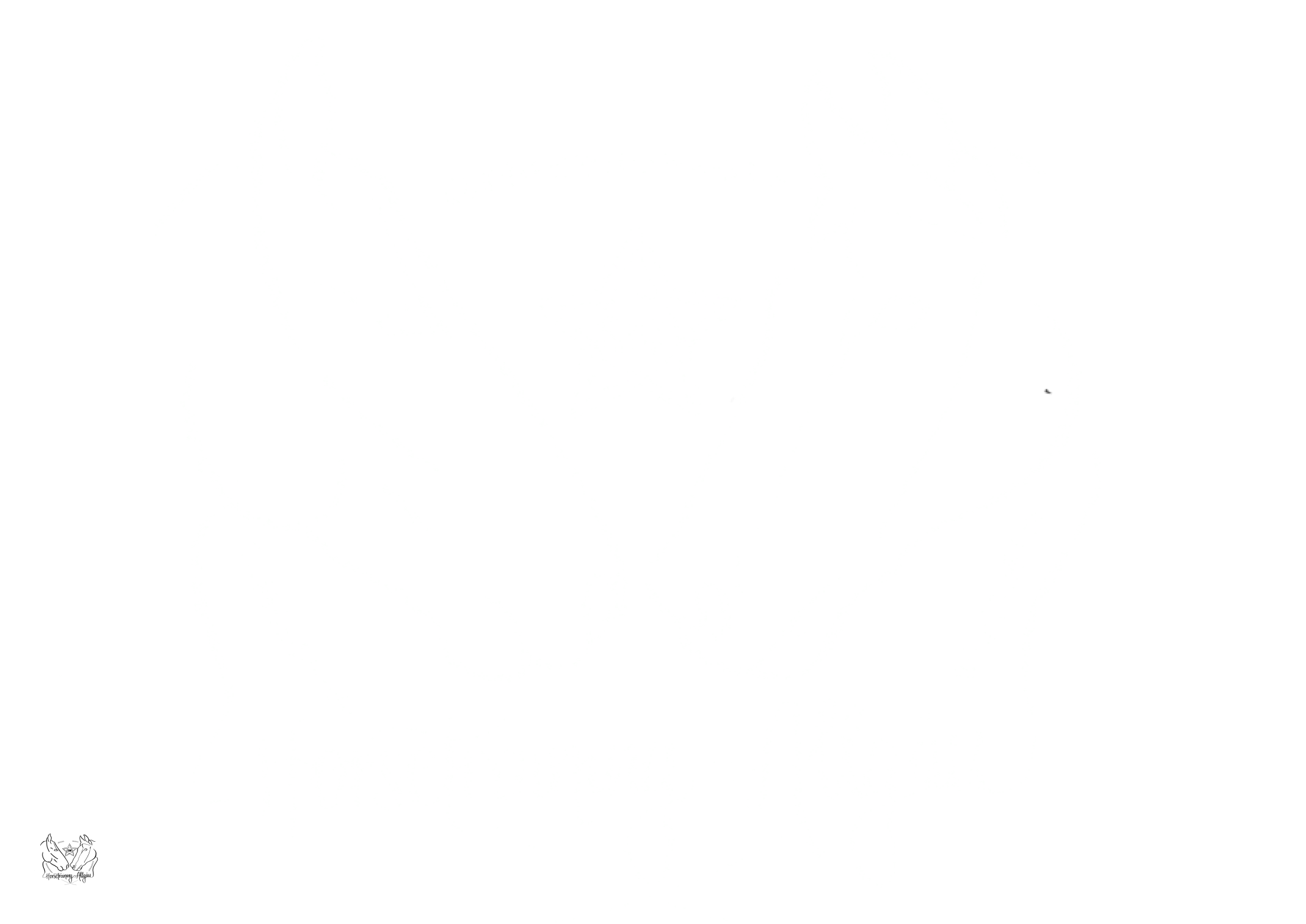Horsetraining Allgäu 